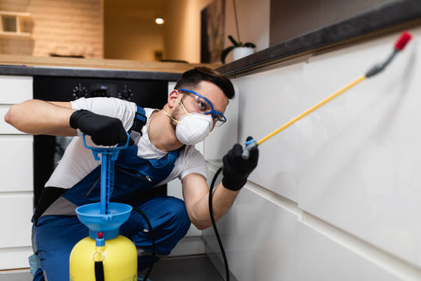 Best Best Pest Control Companies  in Rochester, NY