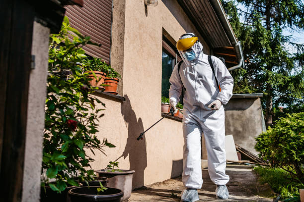 Best Termite Control Services  in Rochester, NY