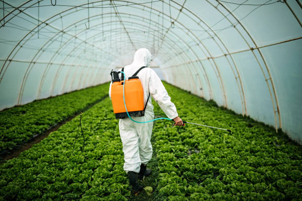 Best Pest Inspection Near Me  in Rochester, NY
