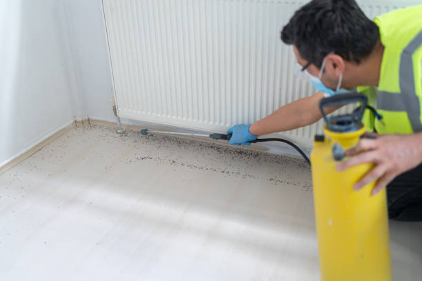 Best Ant Control Services  in Rochester, NY